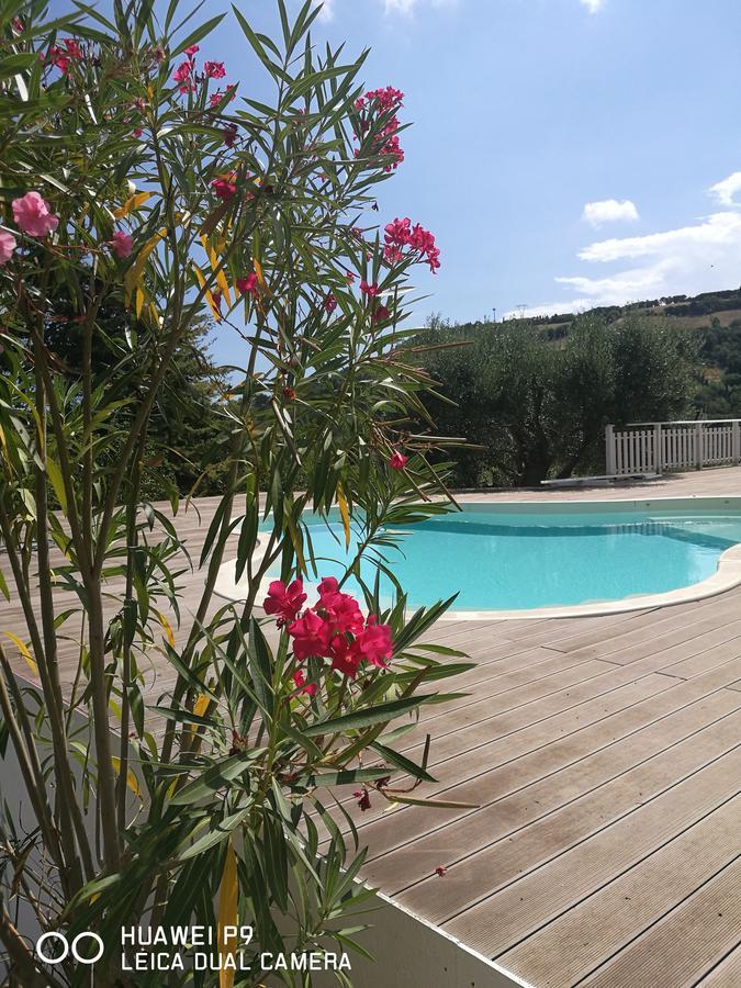 Country House "L'Isola Che Non C'E" Villa Ancona Eksteriør billede
